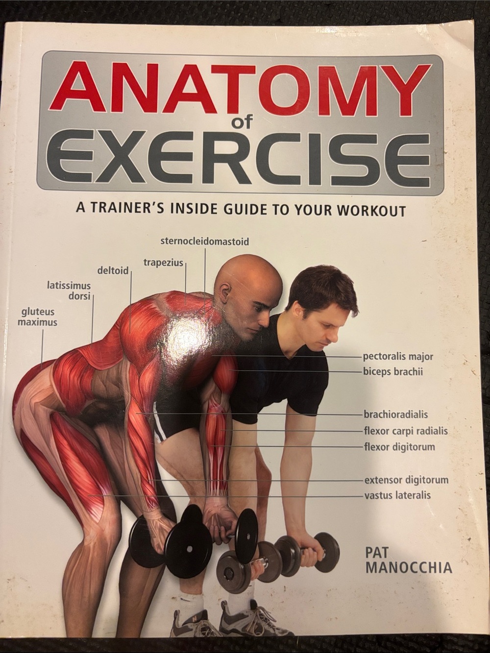 Anatomy of Exercise book